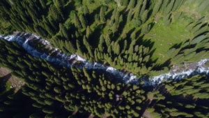 航拍森林溪水夏日自然风景30秒视频