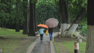 慢镜头升格拍摄4k素材下雨天林荫道上打伞行走的母子亲子陪伴57秒视频