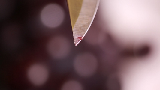 刀尖刮下葡萄表面蚧壳虫卵视频