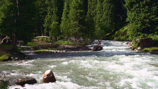 小溪流水潺潺夏日自然风景实拍视频