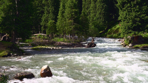 小溪流水潺潺夏日自然风景实拍16秒视频