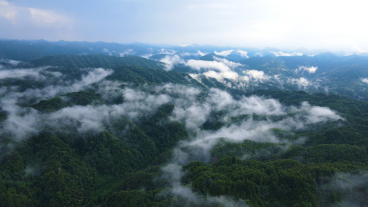 风景重庆四面山森林大自然云雾缭绕视频