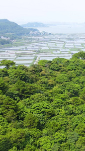 渔业大闸蟹龙虾淡水鱼养殖基地航拍水产养殖视频