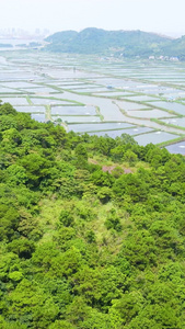 渔业大闸蟹龙虾淡水鱼养殖基地航拍水产养殖视频