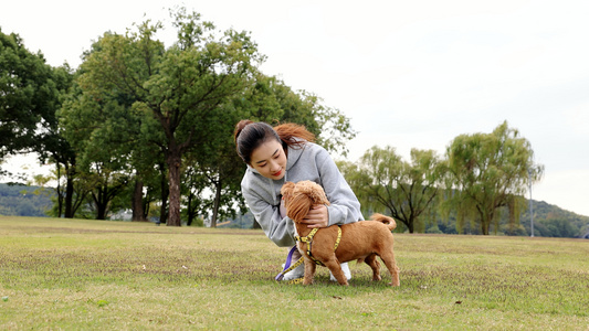 在公园和泰迪一起玩耍的年轻女孩视频