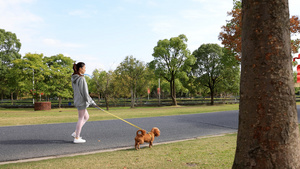 在公园和狗狗一起散步的运动女孩19秒视频