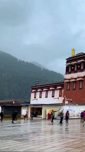 甘肃甘南著名旅游景点拉卜楞寺视频旅游景区视频