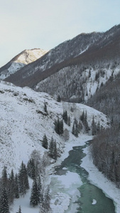 新疆雪山山谷冬季雪景自然之美视频