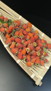 农村美食刺泡树莓山莓视频