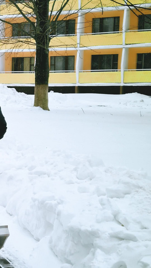 寒冬清晨清理人行道路冰雪积雪城市服务13秒视频