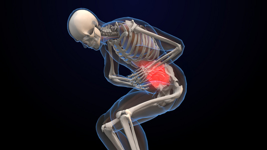 人体肠胃疼痛3D医疗解析[人体生理]视频