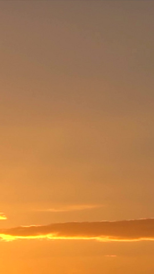 实拍海边夕阳海鸥飞翔令人轻松22秒视频