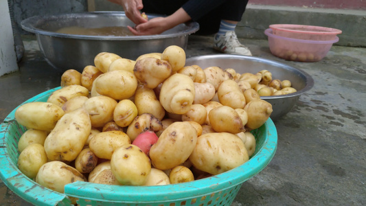 洗土豆马铃薯视频视频