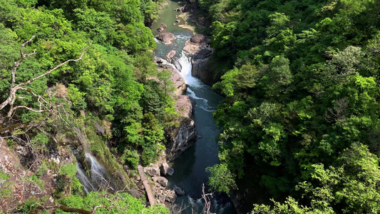 实拍福建5A景区鸳鸯溪山谷溪水视频合集视频