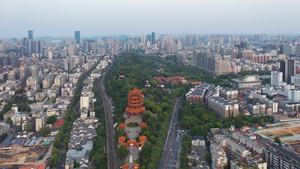 航拍绿荫环绕的武汉旅游地标城市风光著名景点黄鹤楼47秒视频