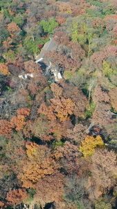 航拍苏州4A景区天平山旅游景点视频