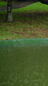 下雨天的水面视频