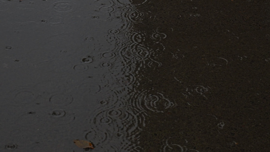 下雨雨滴雨水雨天夏天水暴雨滴水水滴天气雨视频