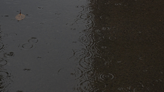 下雨雨滴雨水雨天夏天水暴雨滴水水滴天气雨视频