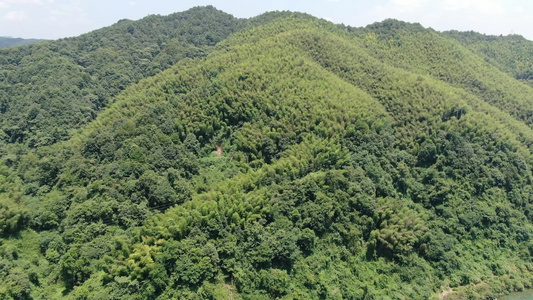 航拍森林大山视频