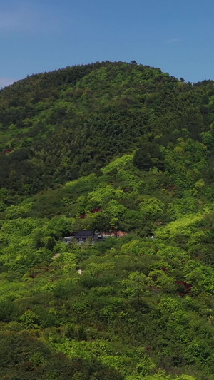 航拍5A景区宁波雪窦山景区弥勒大佛视频旅游目的地47秒视频