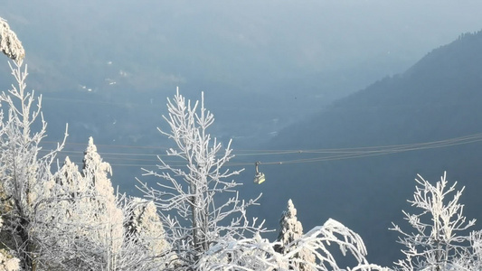 南岳衡山绝美雾凇景观雪松人文视频