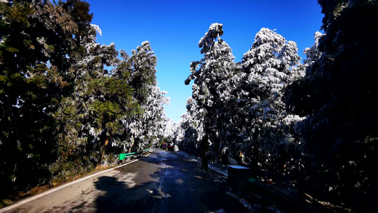 南岳衡山绝美雾凇景观雪松人文视频