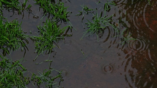 下雨雨滴雨水雨天夏天水暴雨滴水水滴天气雨视频