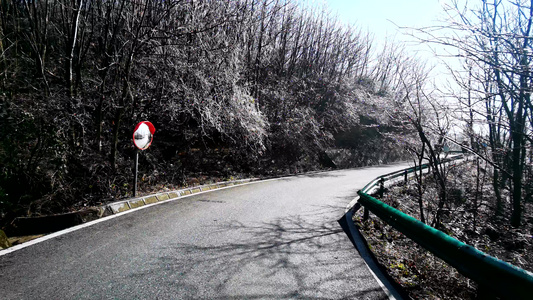 南岳衡山绝美雾凇景观雪松人文视频