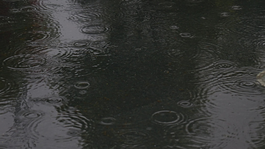 下雨雨滴雨水雨天夏天水暴雨滴水水滴天气雨视频