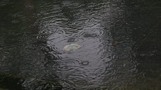 下雨雨滴雨水雨天夏天水暴雨滴水水滴天气雨视频