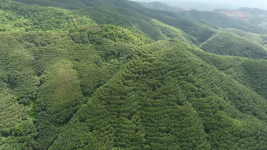 西双版纳景洪航拍视频