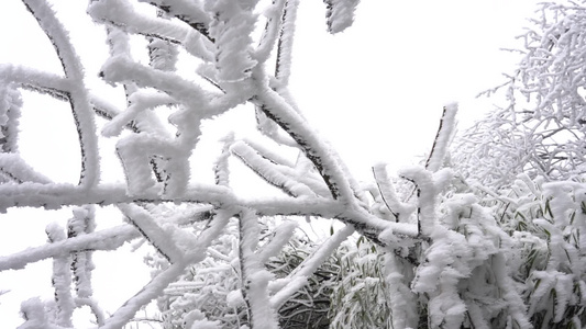 南岳衡山绝美雾凇景观雪松人文视频