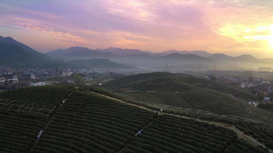 航拍浙江龙坞镇的龙坞茶园景观视频