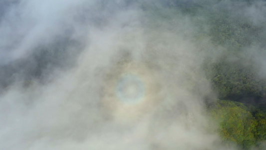 云海中的佛光4k航拍视频视频