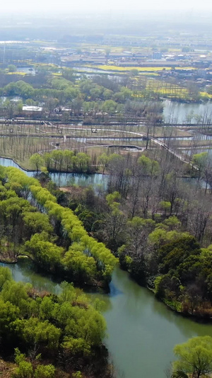 航拍5A景区溱湖国家湿地公园视频旅游目的地62秒视频