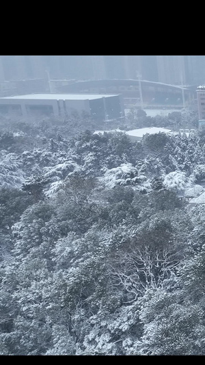 雪景烈士公园长沙46秒视频