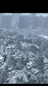 雪景烈士公园长沙视频