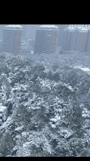 雪景烈士公园长沙46秒视频