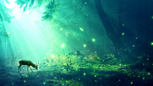 梦幻森林萤火虫飞动背景视频元素视频