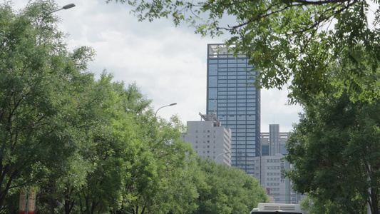 沈阳城市街道风景视频