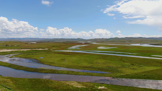 唐克红原大草原湿地牧场航拍视频视频