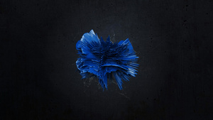 金属质感蓝色动态logo展示会声会影X9模版15秒视频