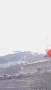 春节乡村大门挂灯笼贴对联传统文化视频