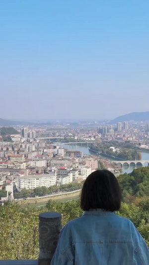 站在高处俯瞰整座城市航拍39秒视频