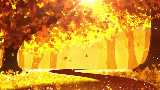 4K金色秋天枫叶飘落背景视频视频