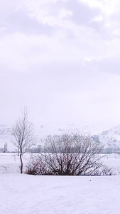 新疆伊犁州5A景区那拉提旅游风景区雪景自然美视频