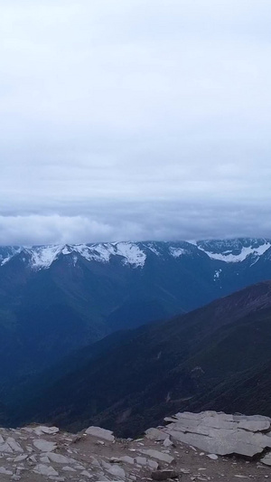 巴郎山熊猫王国之巅雪山航拍小金县58秒视频