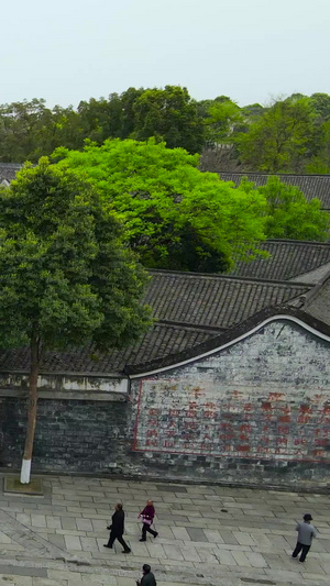 航拍4A景区刘文彩地主庄园成都4A景区61秒视频