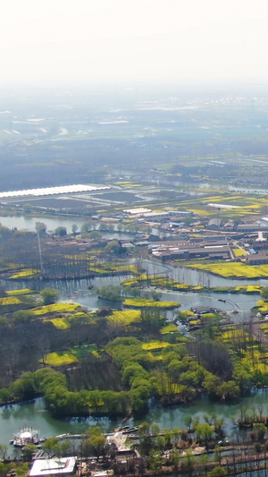 航拍5A景点溱湖国家湿地公园与村庄视频江苏旅游46秒视频